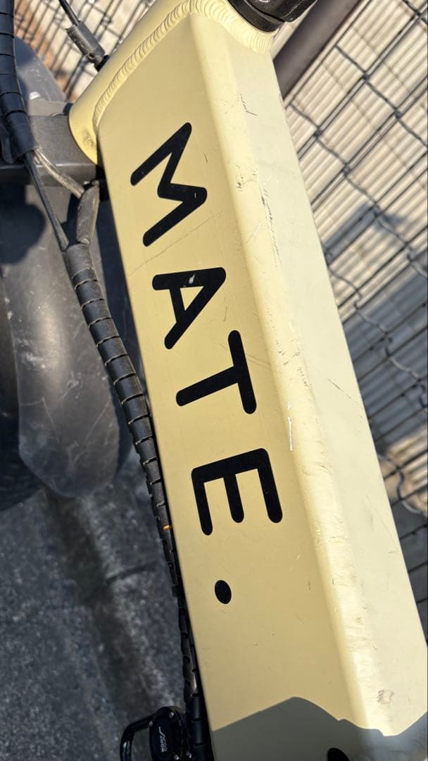 MATE X 250 電動 自転車 デザートストーム