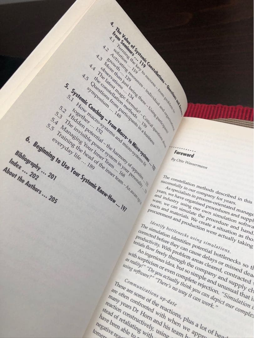 洋書 Invisible Dynamics - Klaus P. Horn