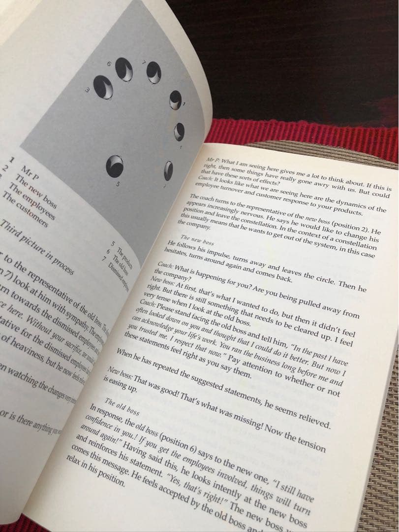 洋書 Invisible Dynamics - Klaus P. Horn