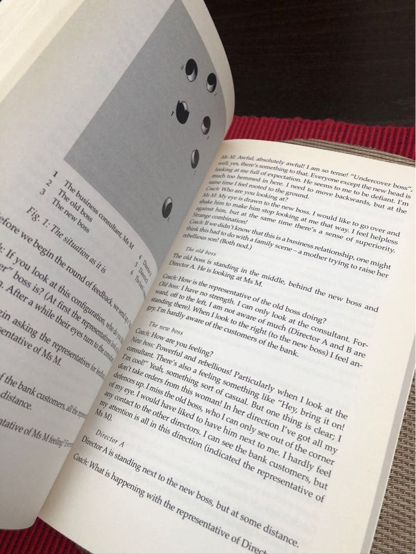 洋書 Invisible Dynamics - Klaus P. Horn