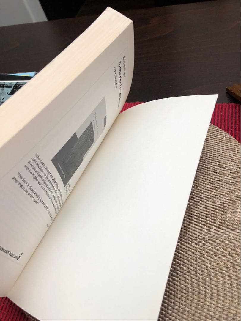 洋書 Invisible Dynamics - Klaus P. Horn