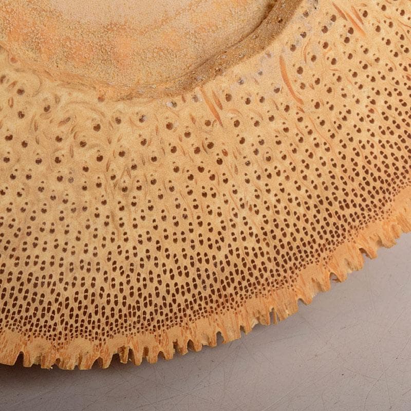 茶道具　林竹作　稲束花入　銘「松風」　大徳寺　紫野　藤田寛道書付箱　Z　8539