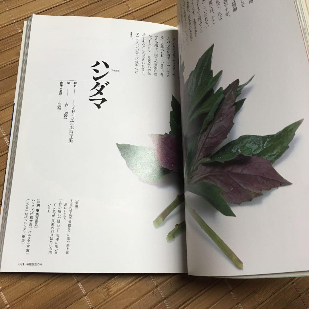 沖縄野菜の本