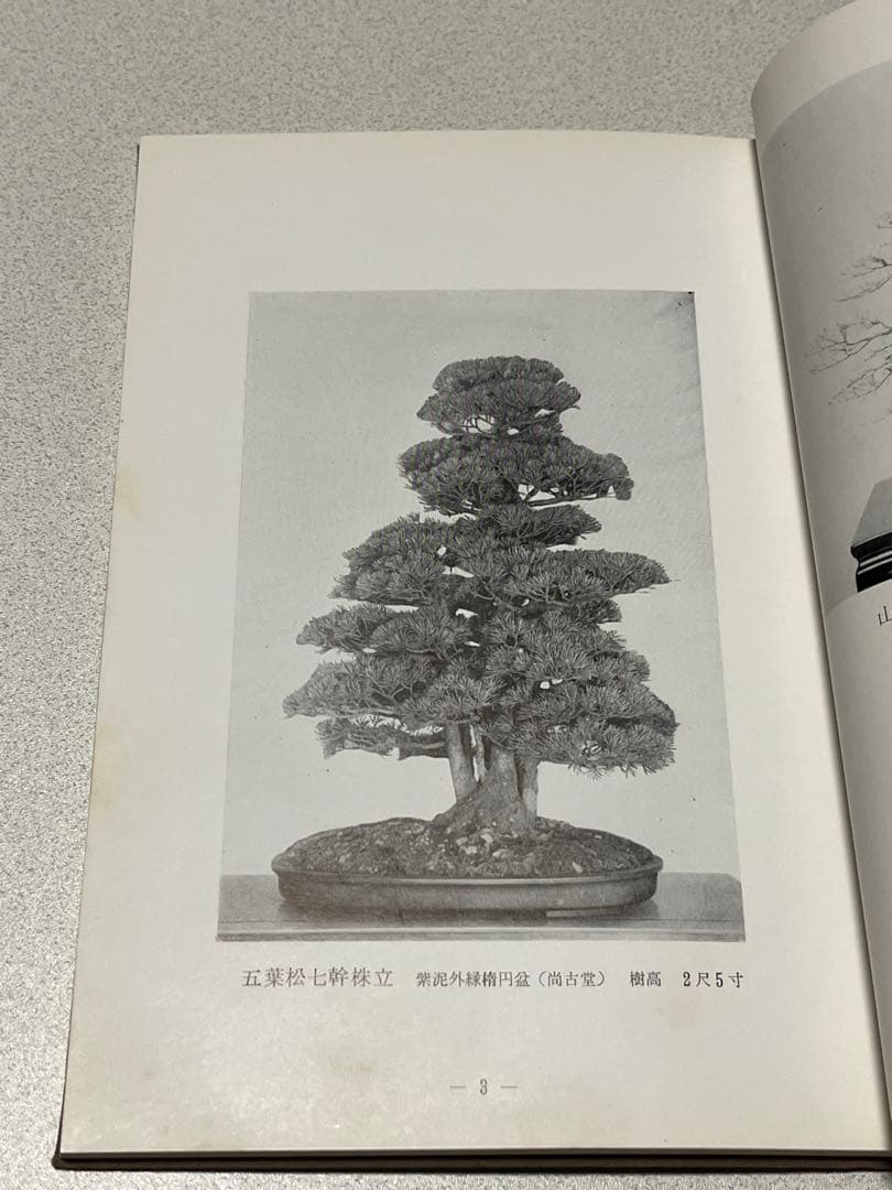 記念帖　盆栽　盆栽鉢　水石