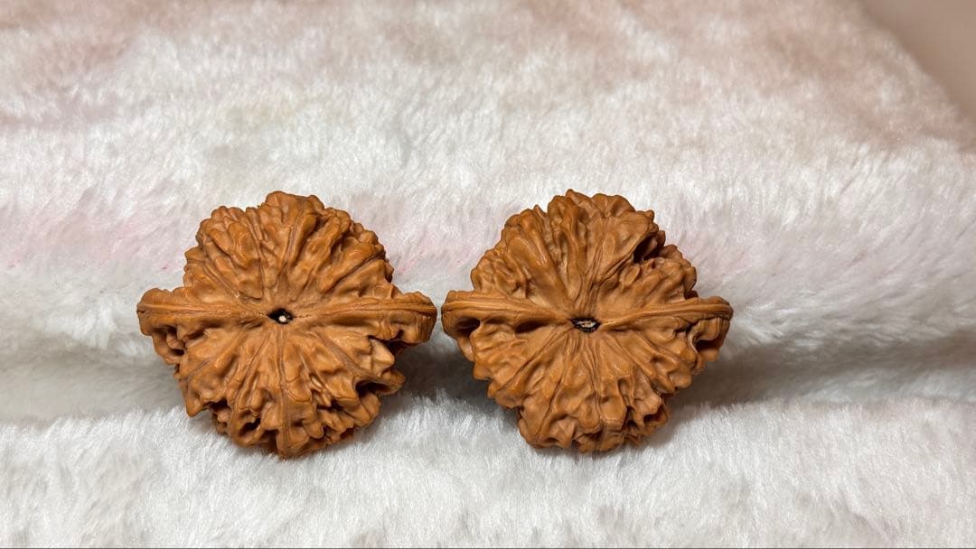 2025:收藏レベル、矮桩官帽3