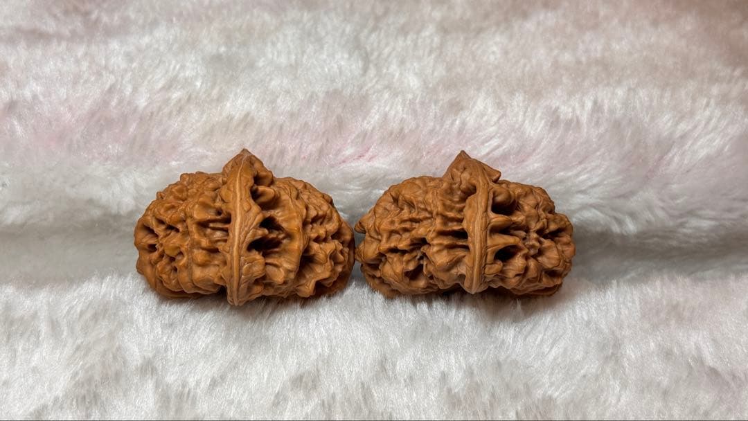 2025:收藏レベル、矮桩官帽3