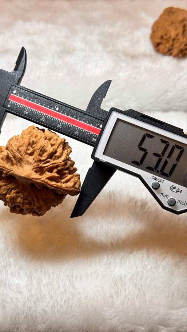 2025:收藏レベル、矮桩官帽3