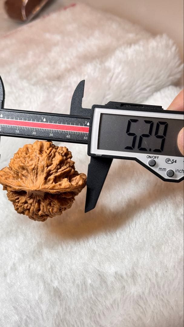 2025:收藏レベル、矮桩官帽3