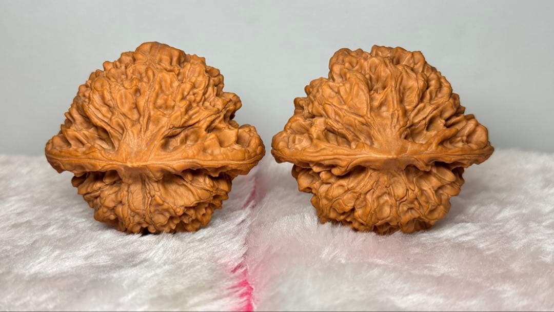 2025:收藏レベル、矮桩官帽3