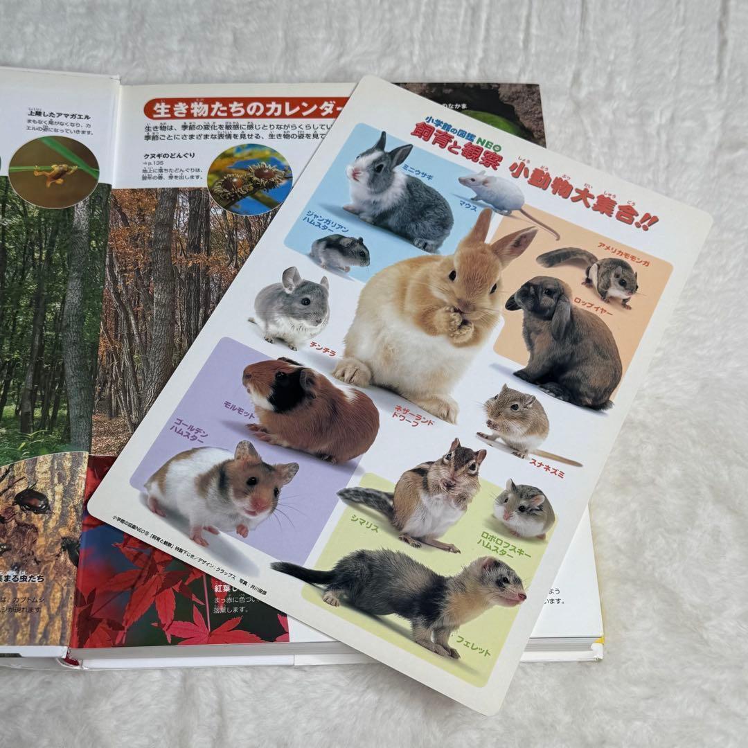 【良品】小学館の図鑑NEO 全巻20冊セット （付録つき多数）