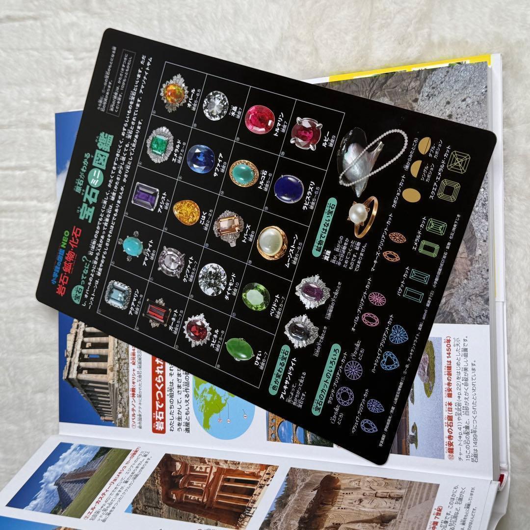 【良品】小学館の図鑑NEO 全巻20冊セット （付録つき多数）