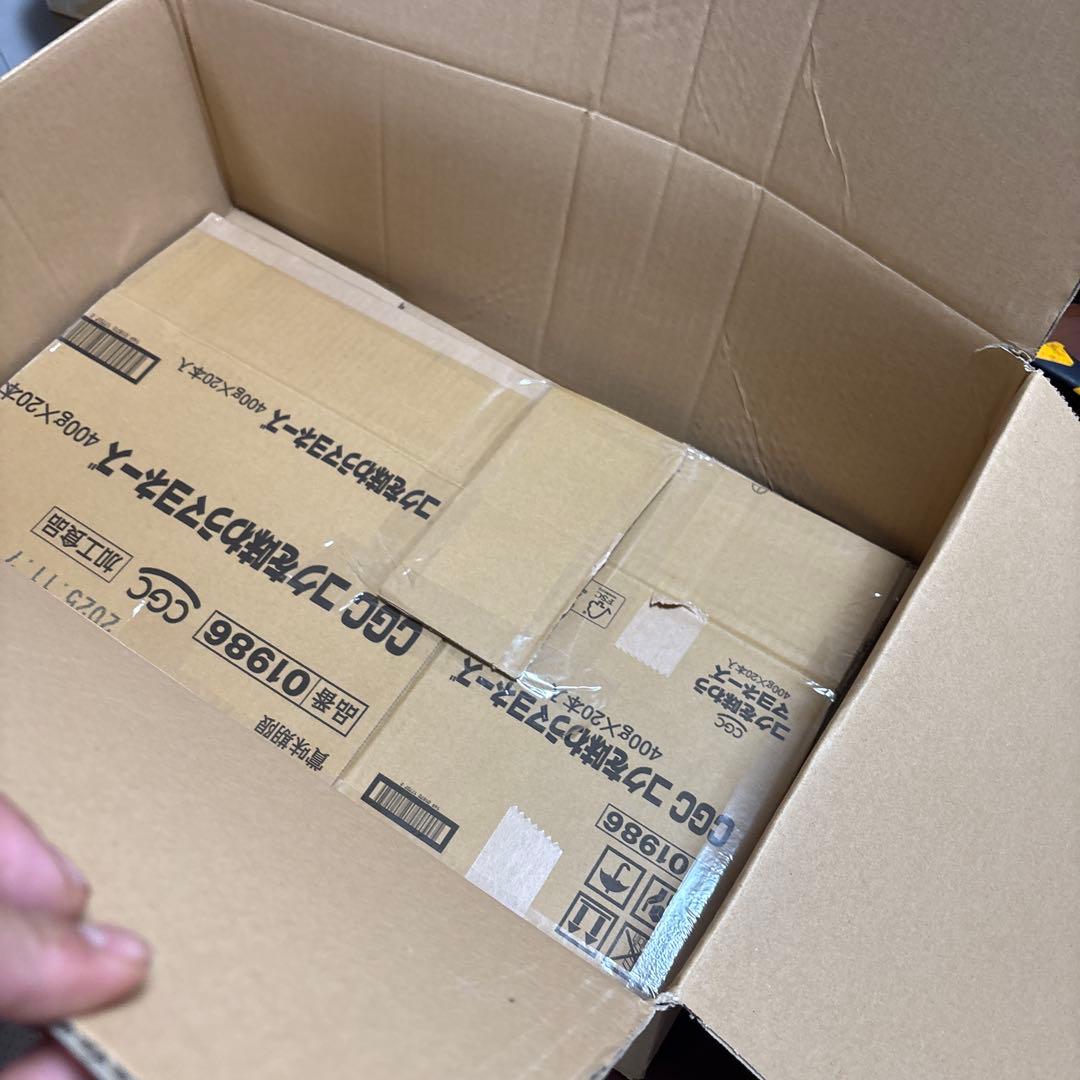 子*る様 ゲームキューブポケモン　XD 店頭　販促　両面ポップ　非売品ポケットモ