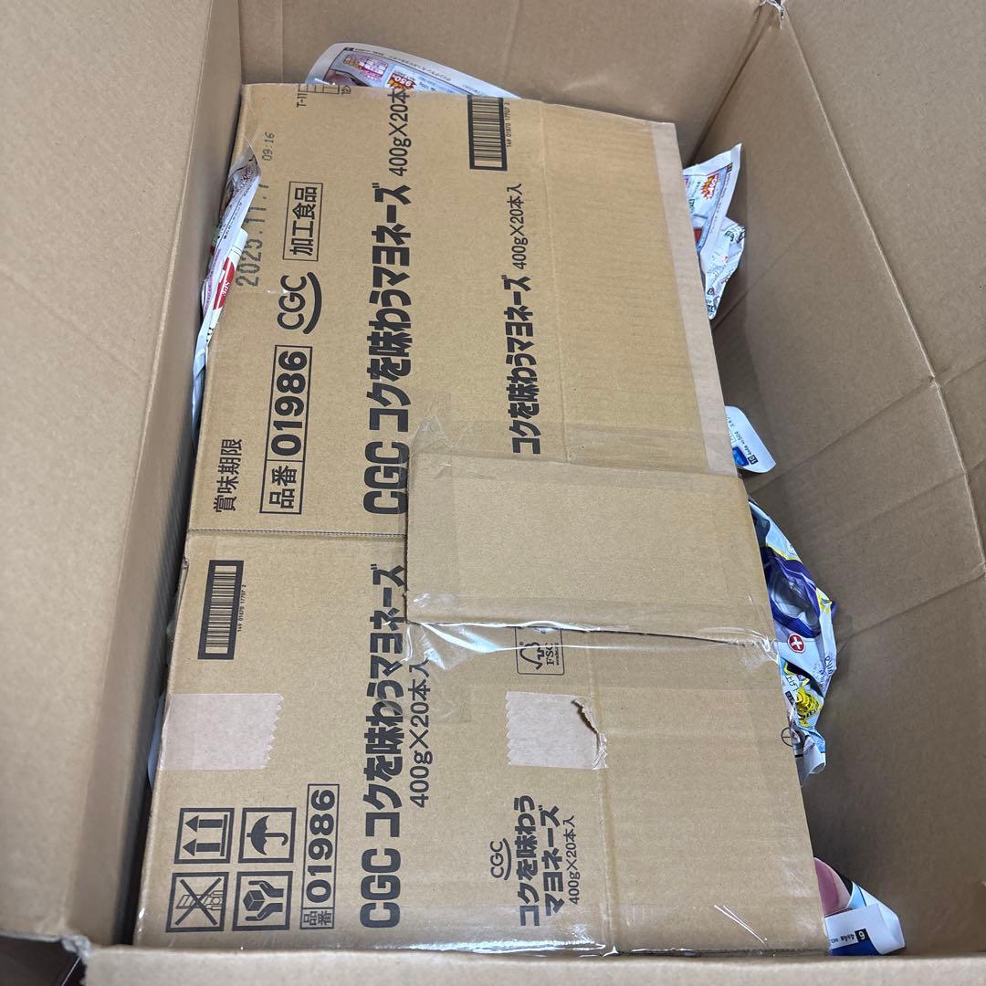 子*る様 ゲームキューブポケモン　XD 店頭　販促　両面ポップ　非売品ポケットモ