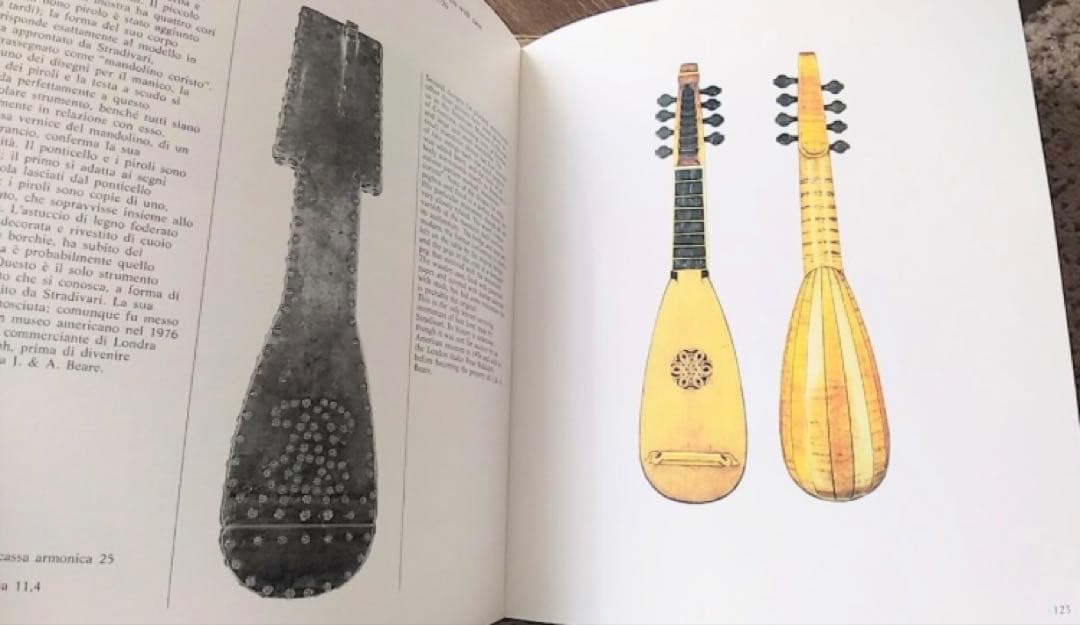 SALE レア ストラディヴァリウス 作品集 洋書 イタリア語 英語