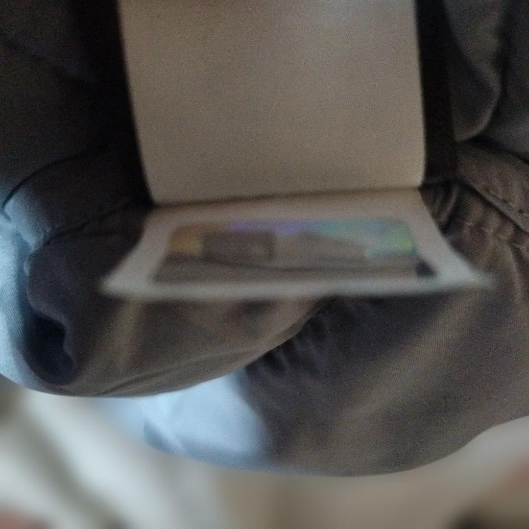 ノースフェイス レディース ホログラム正規品 グースダウン ベスト M