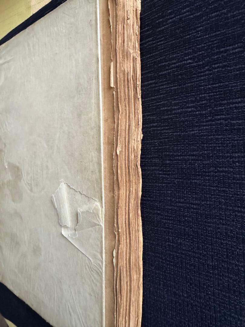 吾輩ハ猫デアル 中編 八版 夏目漱石