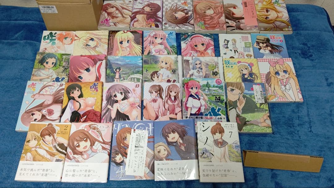 咲＋咲　阿知賀編＋咲日和＋シノハユ＋怜-Toki-　メロンブックスセット