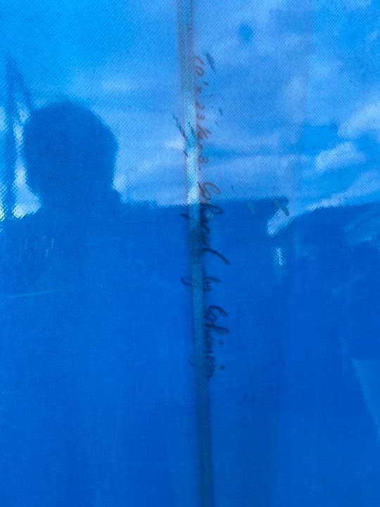 ディックブルワー　サーフィン　ロングボード