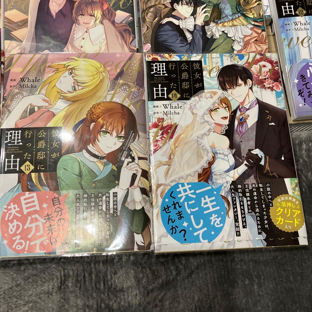 彼女が公爵邸に行った理由 全14巻