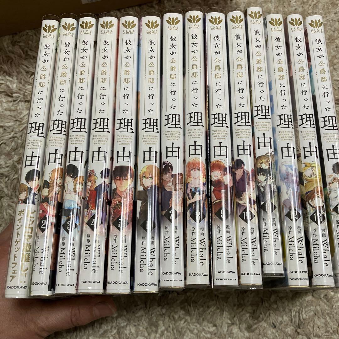 彼女が公爵邸に行った理由 全14巻
