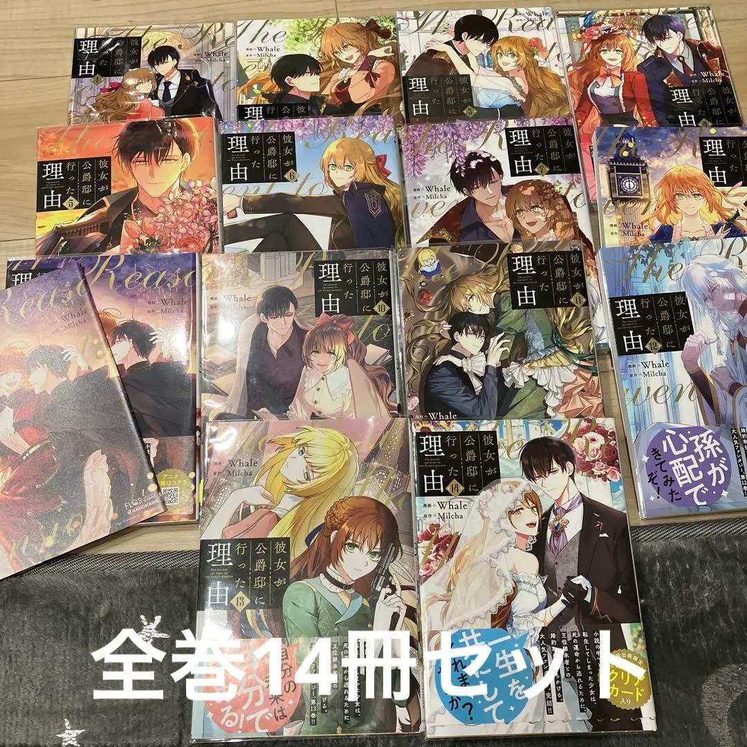 彼女が公爵邸に行った理由 全14巻