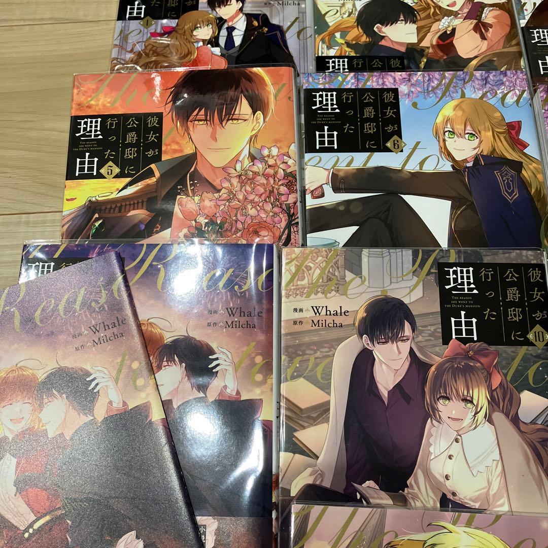 彼女が公爵邸に行った理由 全14巻