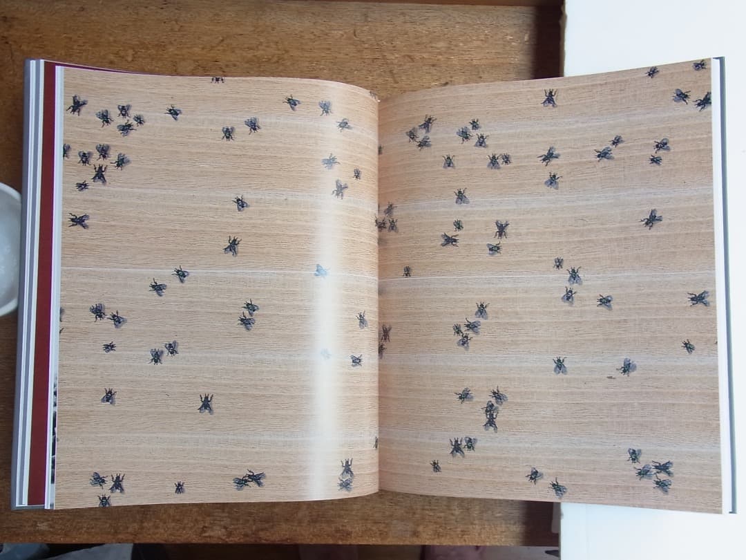 Edward Ruscha エドワード・ルシェ／カタログレゾネ 函付き２冊組