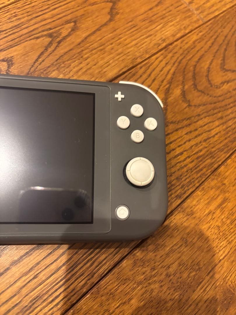 Switch right スイッチライト　グレー　ほんたい