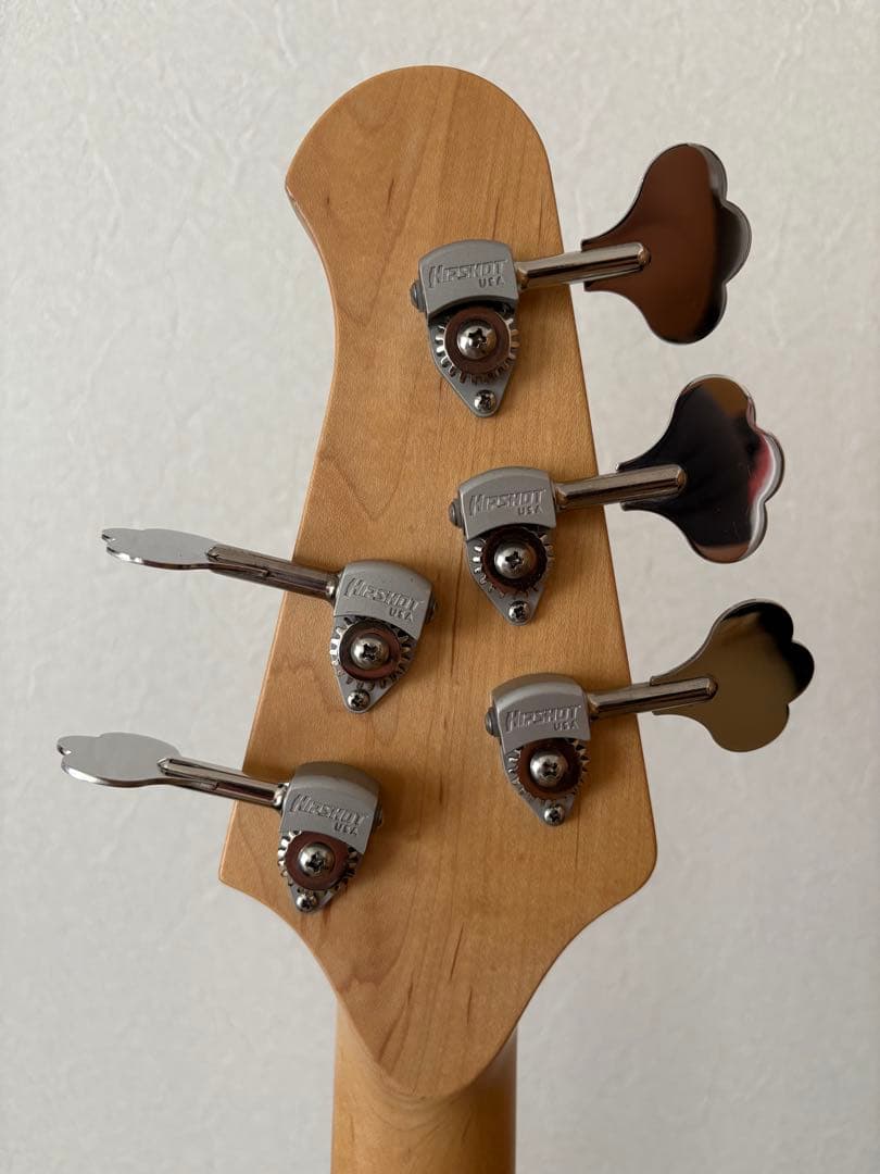 LAKLAND SL55-94DX 5弦　中古　美品