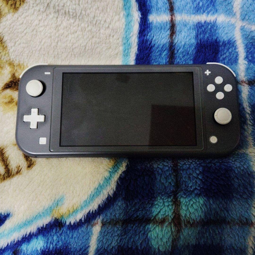 Switchliteジャンク品