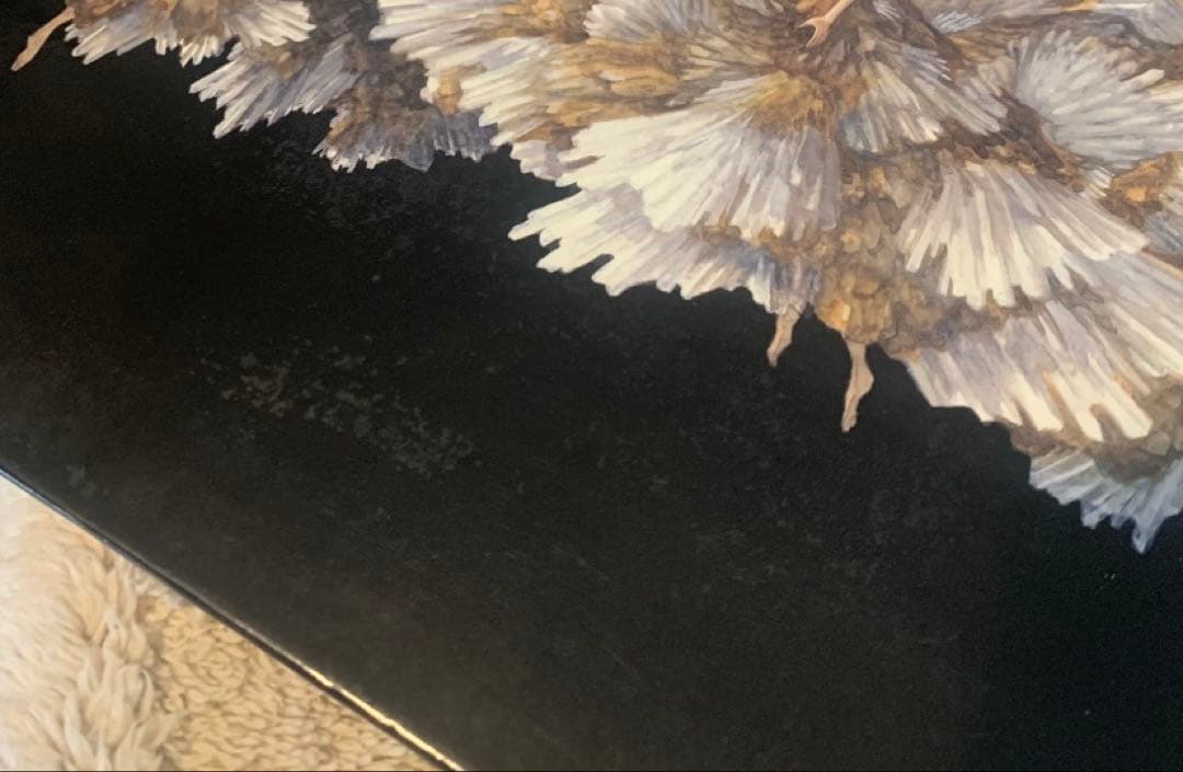 junaida　LAPIS・MOTION IN THE SILENCE