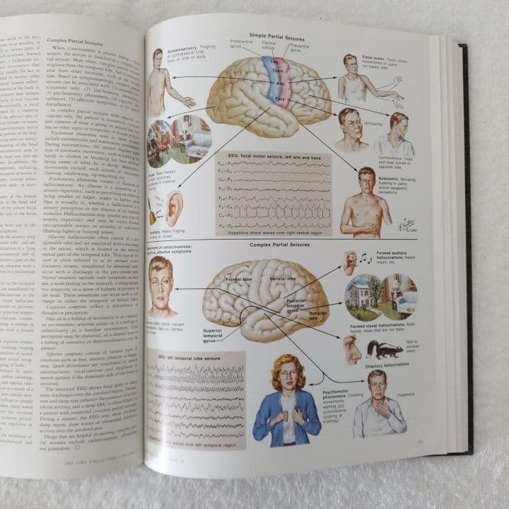 洋書 ・希少 CIBA医学イラスト集第1巻 Ⅱ フランクH.ネッター／英語版