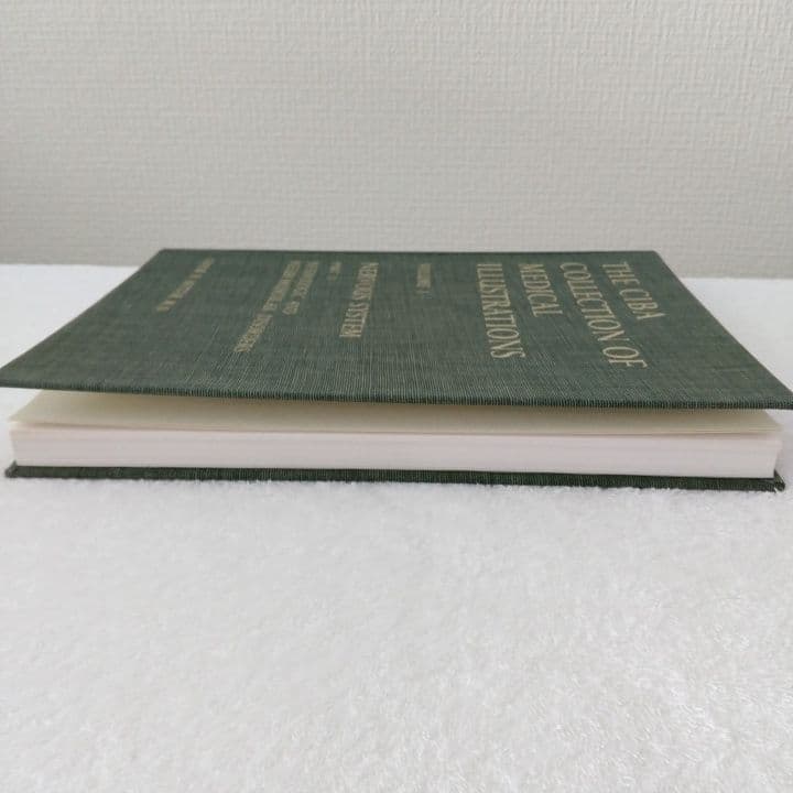 洋書 ・希少 CIBA医学イラスト集第1巻 Ⅱ フランクH.ネッター／英語版