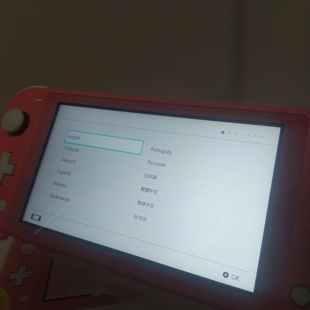 haru【美品】Nintendo Switch Lite どうぶつの森