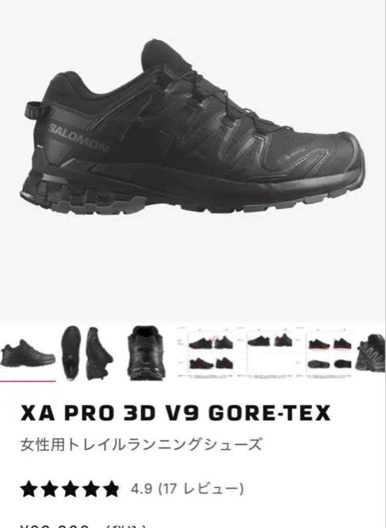 本日限定価格　XA PRO 3D V9 GORE-TEX ブラック