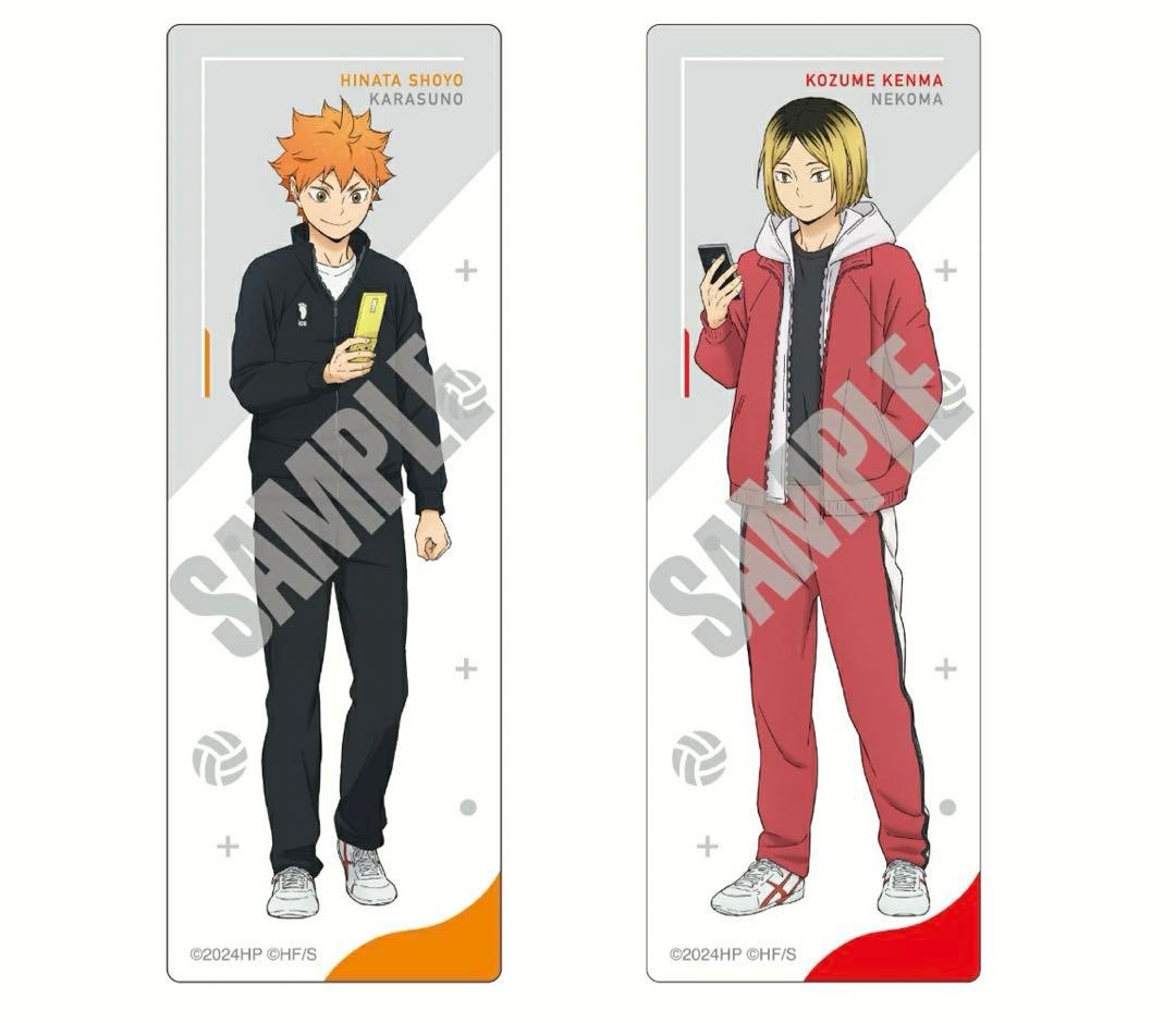 『劇場版ハイキュー!! ゴミ捨て場の決戦』 豪華版DVD 楽天特典付き