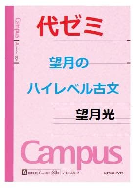 【代ゼミ】『望月のハイレベル古文　望月光先生　第1回ノート』+α　駿台河合塾東進