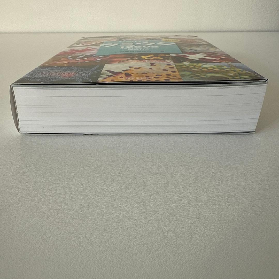 新版　ウミウシ 特徴がひと目でわかる図解付き 1260種