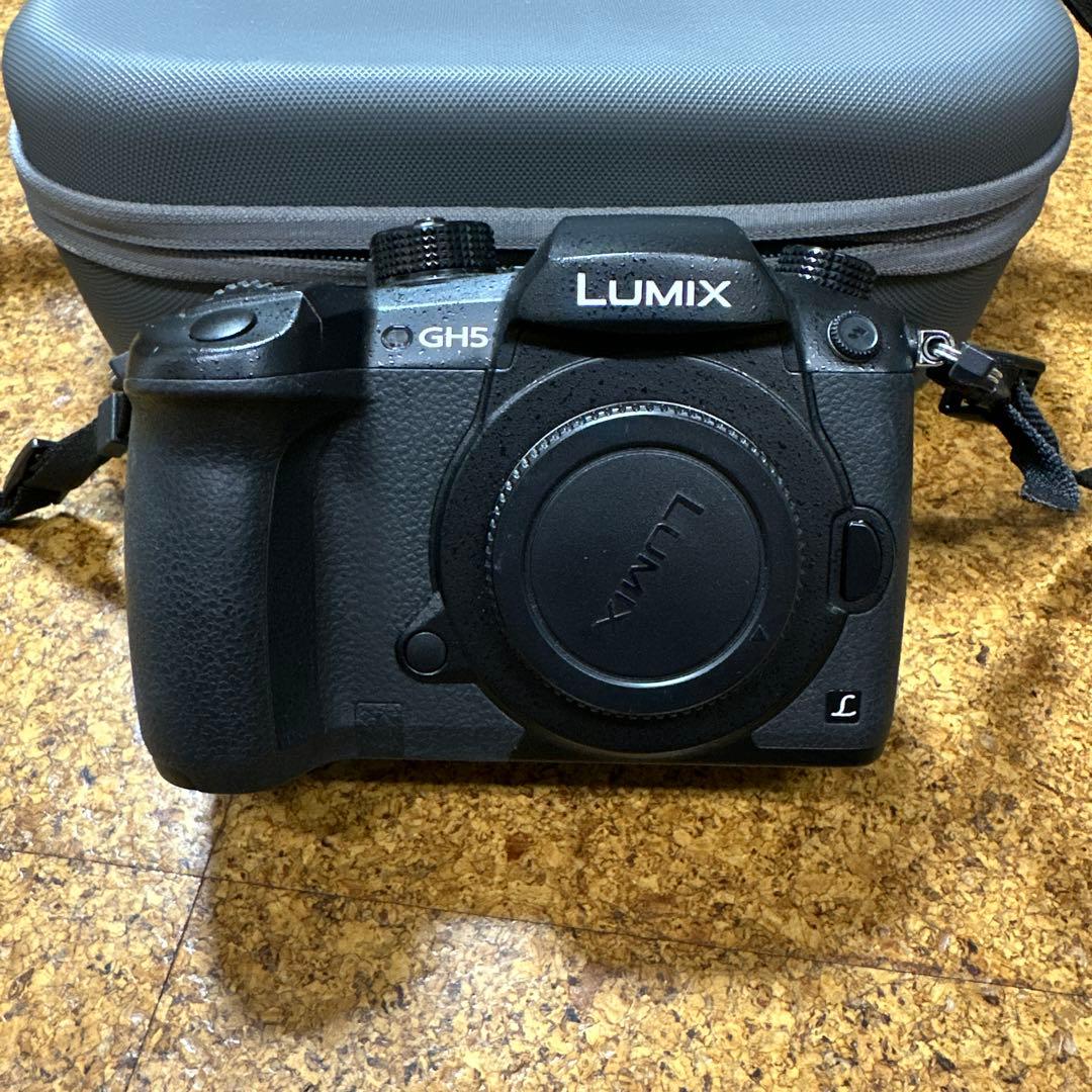 Panasonic LUMIX GH5 ＋LUMIX G 12-35mm セット