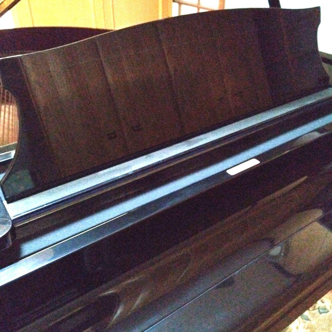 たけピkbです 他の方はご遠慮下さいm(__)m