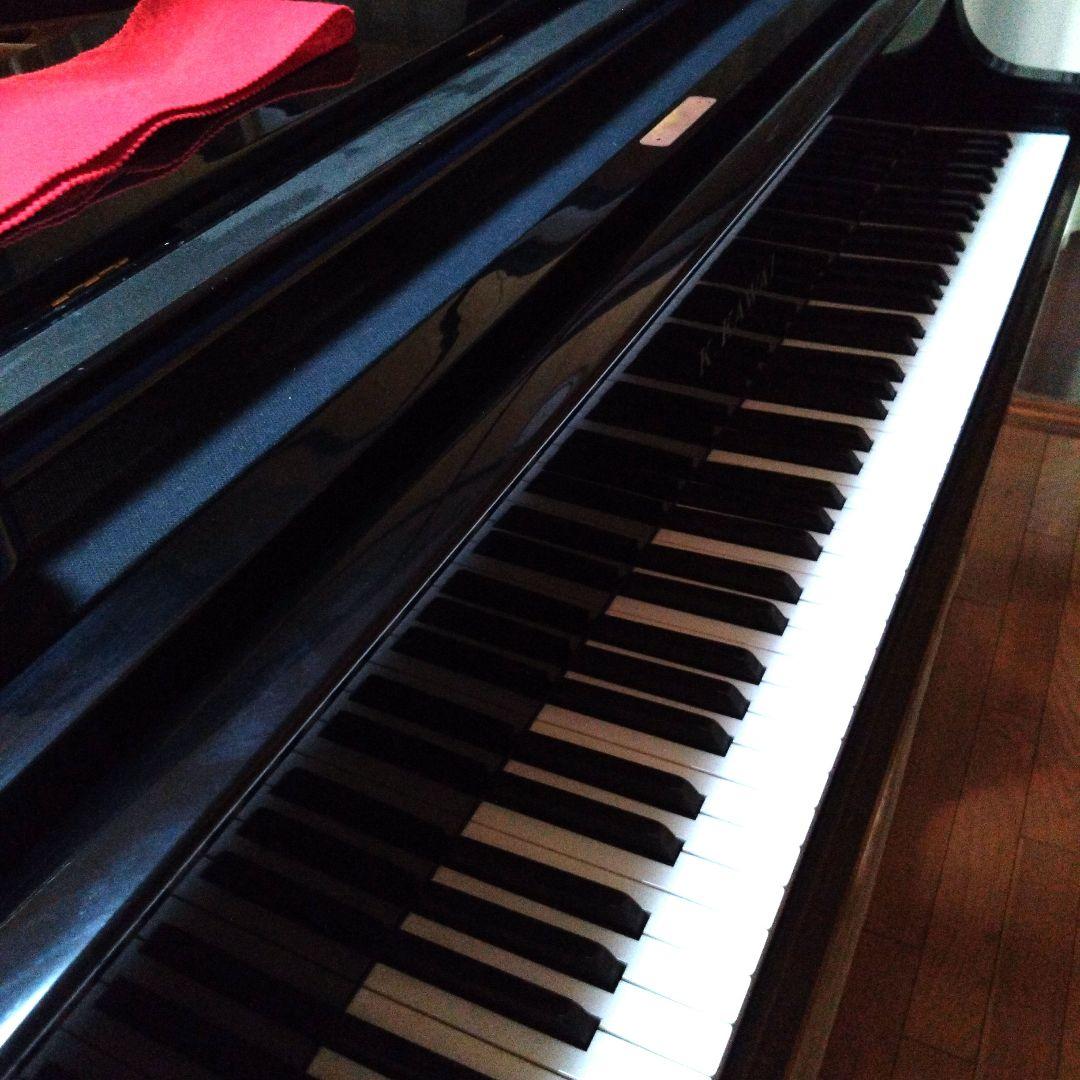 たけピkbです 他の方はご遠慮下さいm(__)m