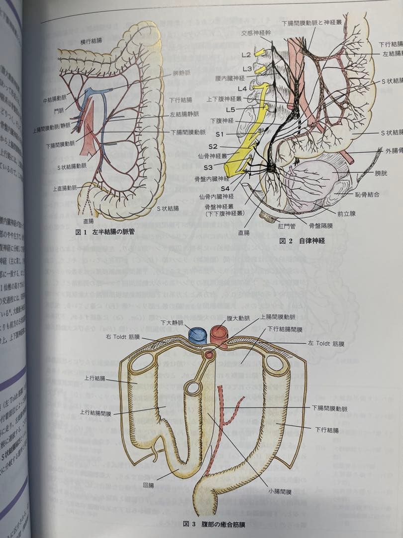 リンパ系局所解剖カラーアトラス