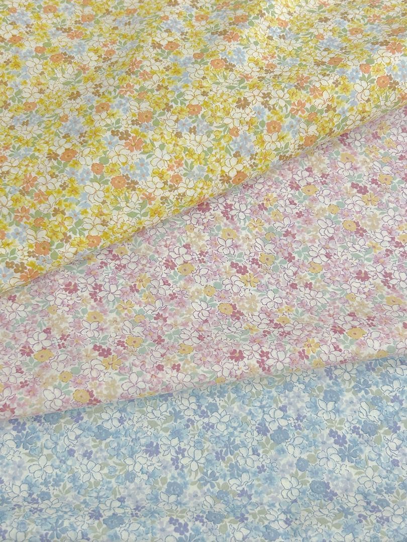 きょんちゃん専用