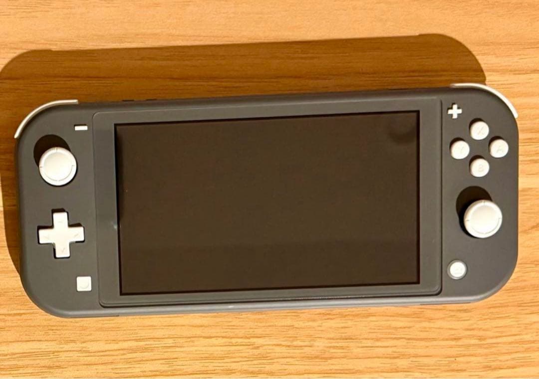 Switchライト　本体　lite