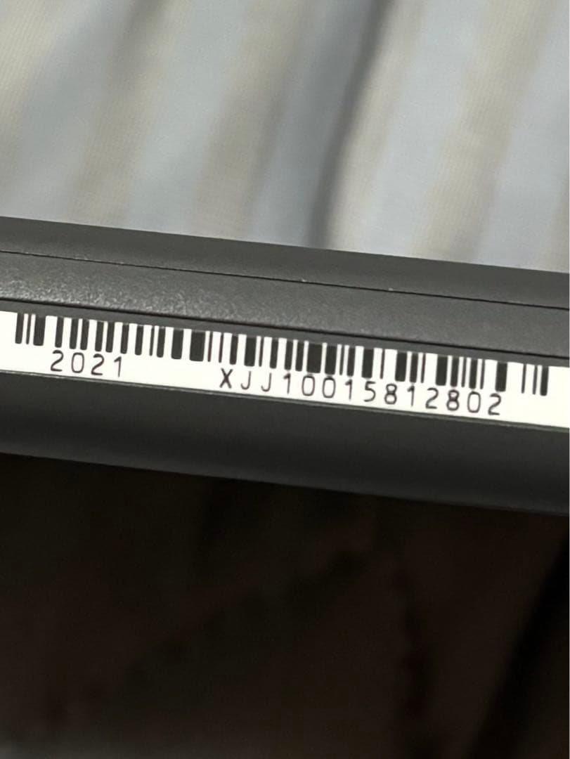 Switchライト　本体　lite