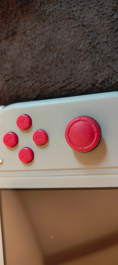 Nintendo Switch NINTENDO SWITCH LITE ザ…