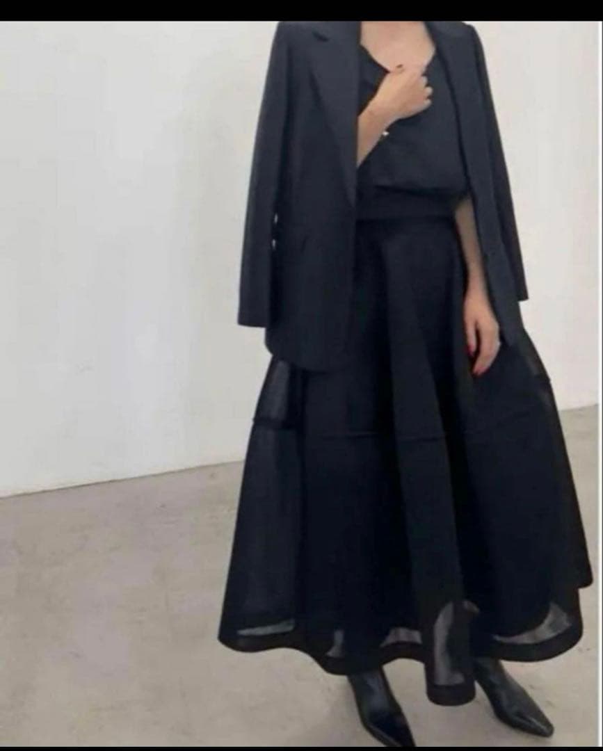 りーちゃん　Lig. sheer volume skirt