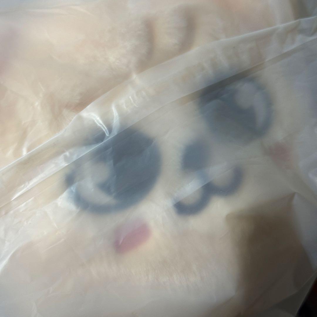 straykids スキズ　celebrate puppym スンミン　メンプロ