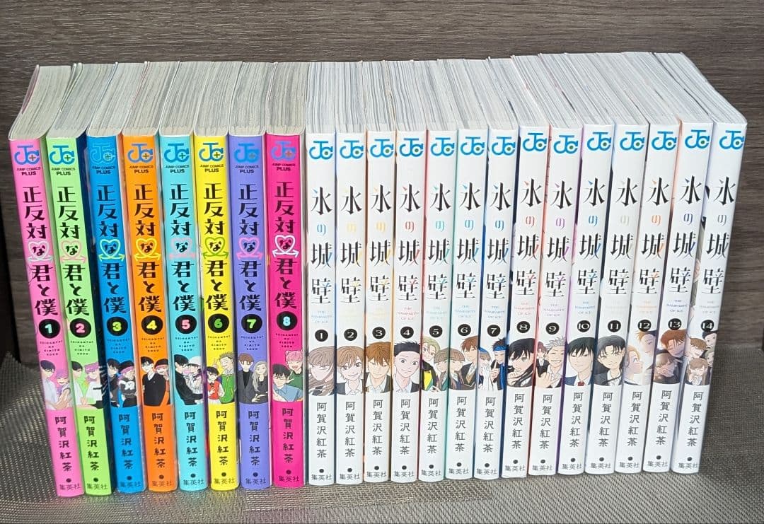 【22冊】 氷の城壁 正反対な君と僕