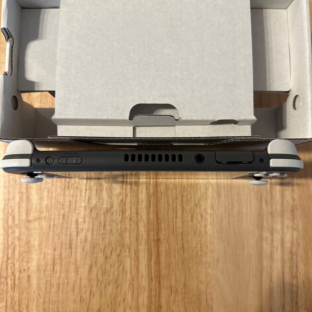 Nintendo Switch LITE グレー　ソフトケース付き